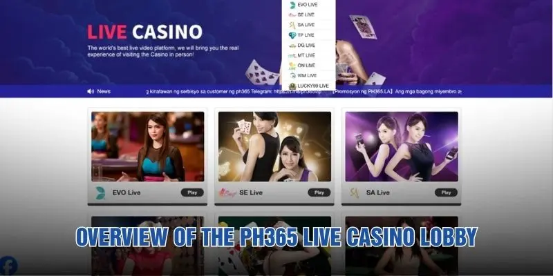 Overview of the PH365 Live casino lobby