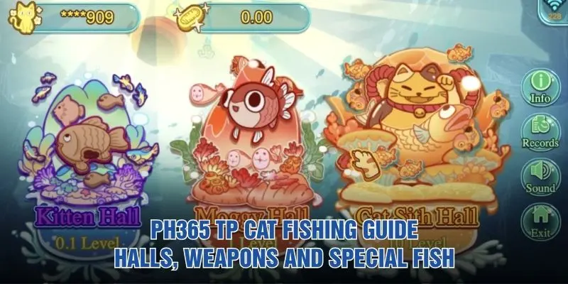 PH365 TP Cat Fishing Guide: Halls, Weapons And Special Fish